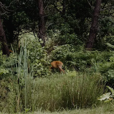 호스텔 Hejmo 소르-호스고르