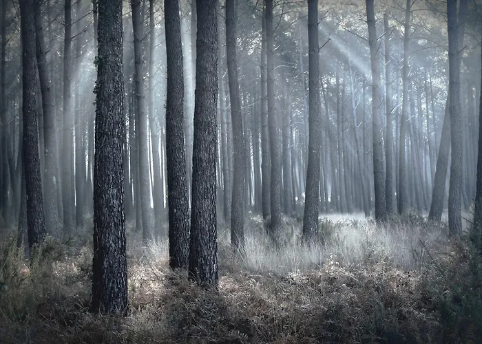 Auberge de jeunesse Hejmo