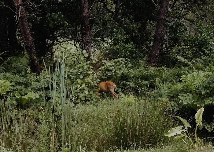Auberge de jeunesse Hejmo Soorts-Hossegor